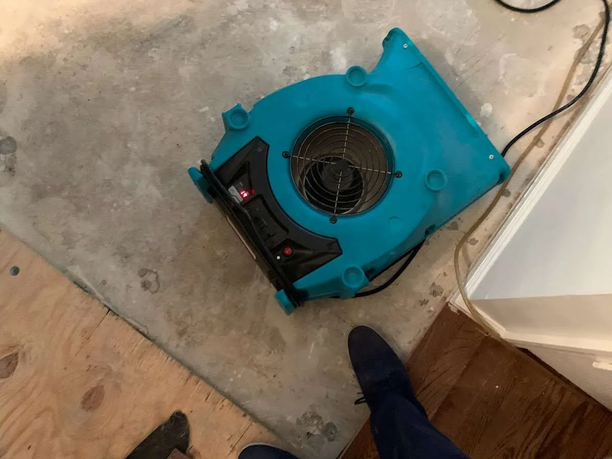 Air mover drying subfloor during Commercial Water Damage Restoration in Franklin Park